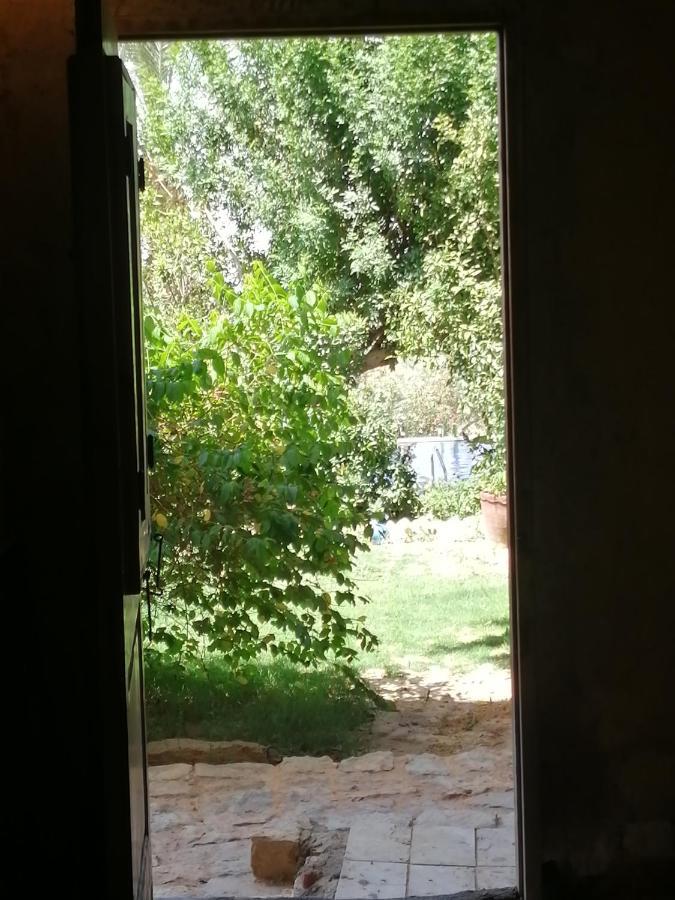 Studio In Byoum By Qaroun Lake In Fayoum Qaryat at Ta'mir as Siyahiyah Exteriör bild
